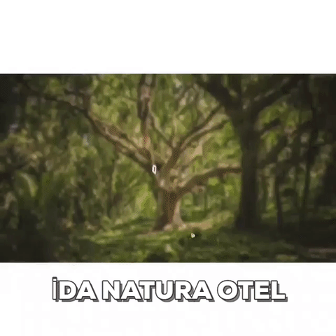 Kazdağları Safari Turları Bungalov Evler