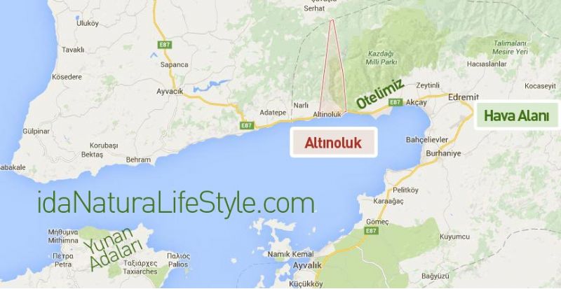 Altınoluk Harita