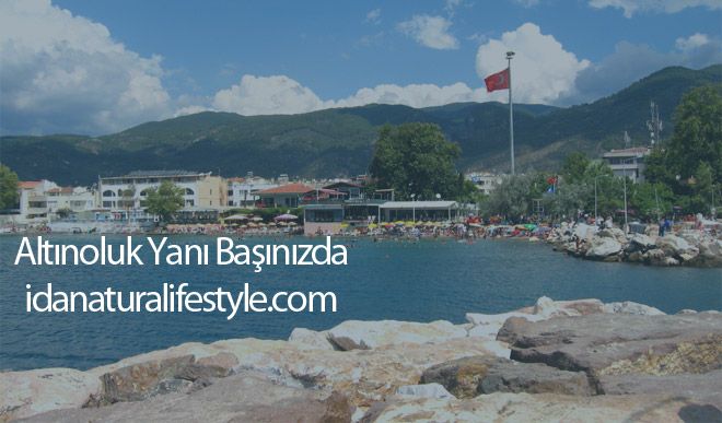 Altınoluk Yanı Başınızda