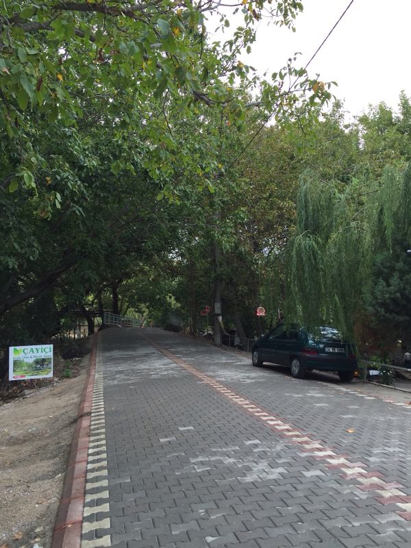 Çay Yolu