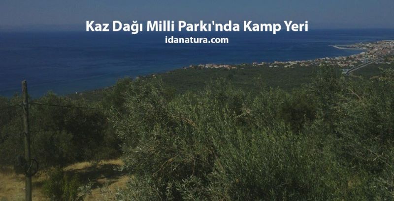 Kaz Dağı Milli Parkı’nda Kamp Yeri