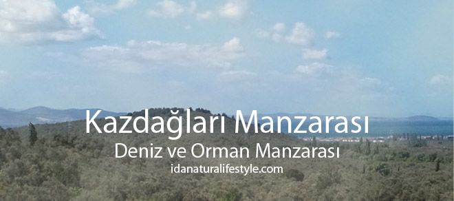 Kazdağları Orman Deniz Manzarası