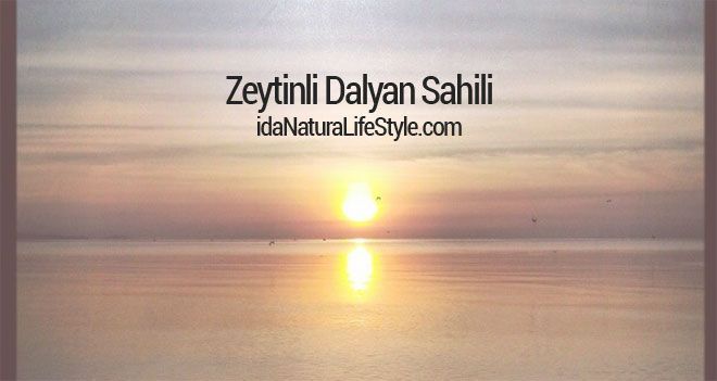 Zeytinli Dalyan Sahili