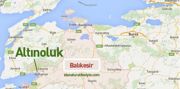 Altınoluk Nereye Bağlı?