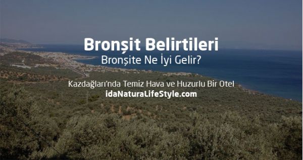 Bronşit Belirtileri Bronşite Ne İyi Gelir?