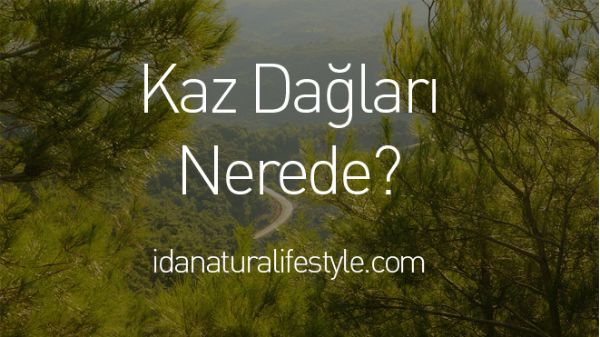 Kaz Dağları Nerede?