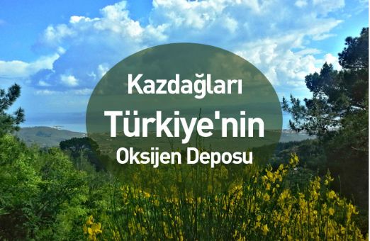 Kazdağları Türkiye`nin Oksijen Deposu