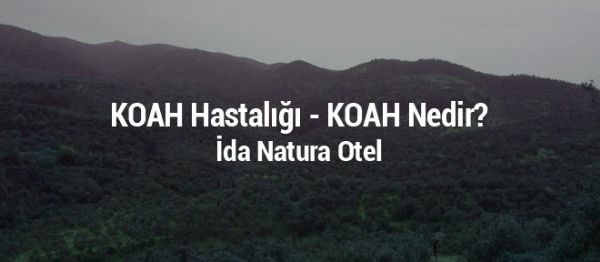 KOAH