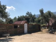 İda Natura otel Bungalov evler evcil hayvan barınağı