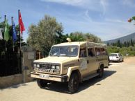 Jeep-safari