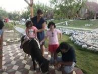 Kazdağı At la terapi İda Natura otel