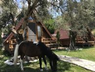 Kazdağları çocuk at eğitimi İda Natura