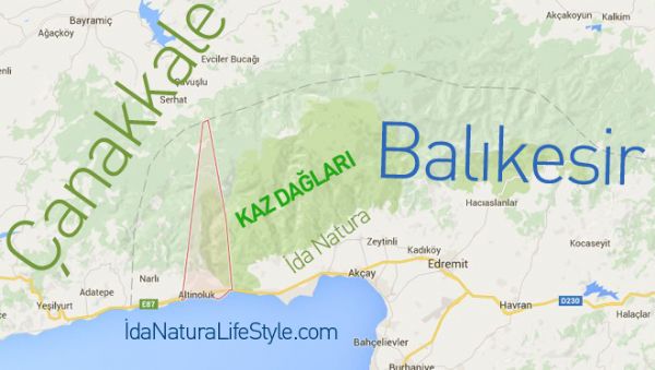 Altınoluk Nerede?