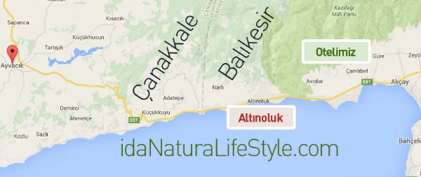Ayvacık Nerede?