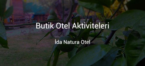 Butik Otel Aktiviteleri