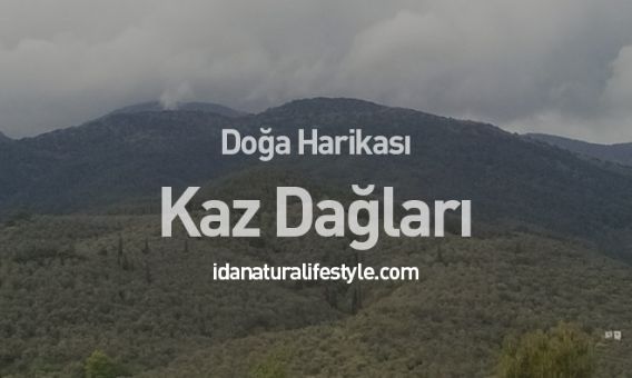 Doğa Harikası Kaz Dağları