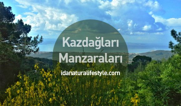 En Güzel Manzara Kazdağları’nda