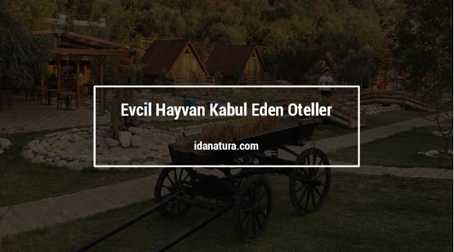 Kazdağları’nda Evcil Hayvan Kabul Eden Oteller