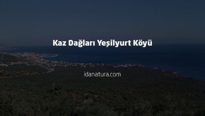 Kaz Dağları Yeşilyurt Köyü