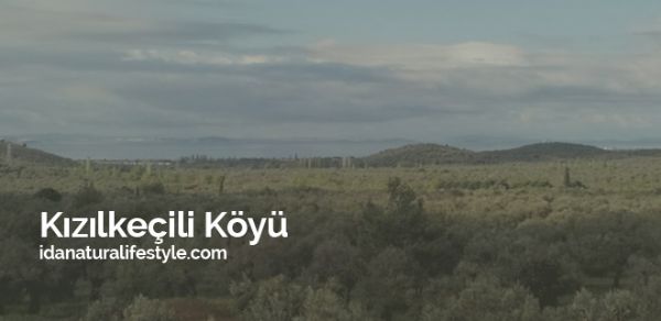 Kızılkeçili Köyü