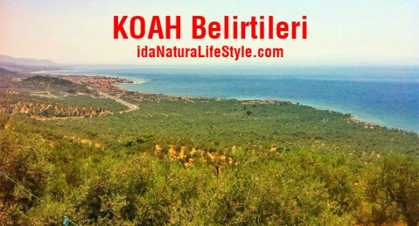KOAH Belirtileri