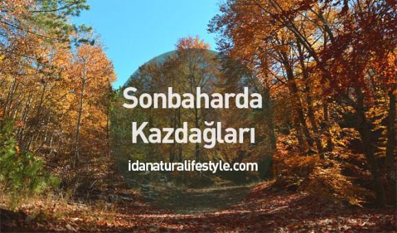 Sonbaharda Kazdağları